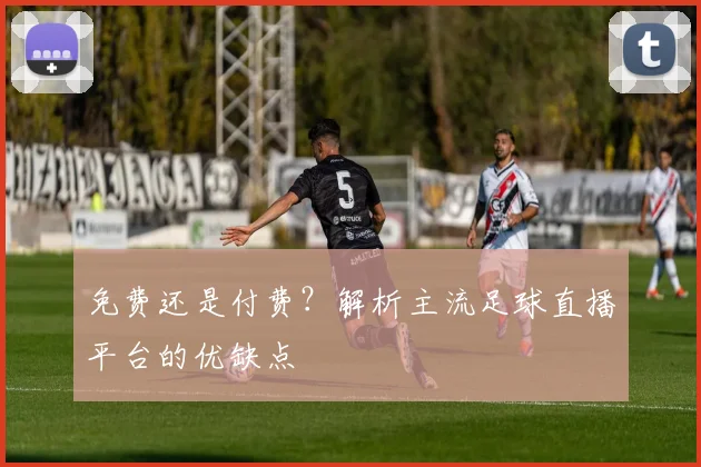 免费还是付费?解析主流足球直播平台的优缺点