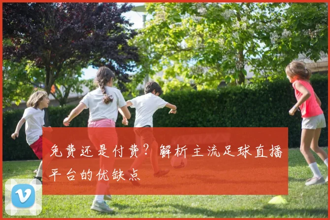 免费还是付费?解析主流足球直播平台的优缺点