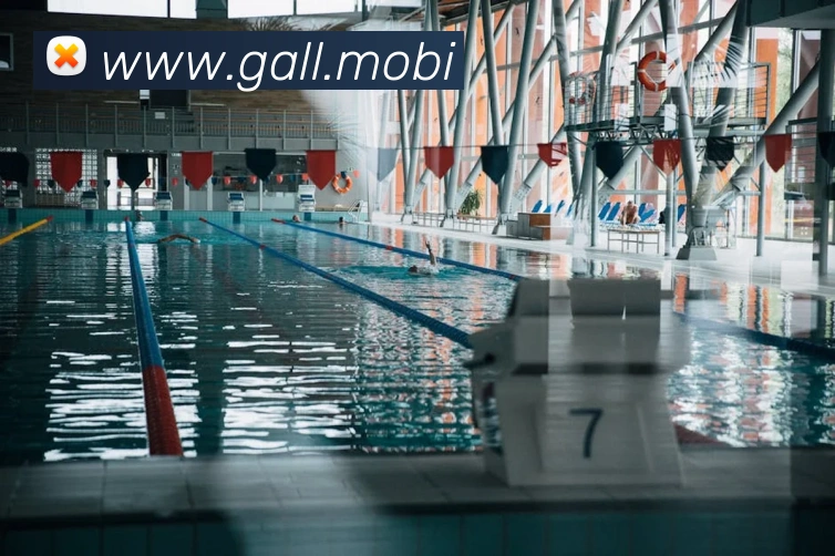 奥运会赛程直播频道安排公布央视与数字平台分时段转播看点